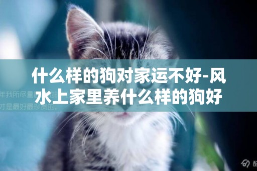 什么樣的狗對家運不好-風水上家里養什么樣的狗好