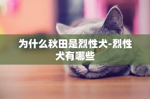 為什么秋田是烈性犬-烈性犬有哪些