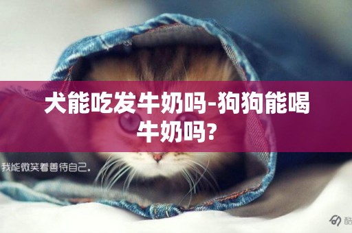 犬能吃發牛奶嗎-狗狗能喝牛奶嗎?