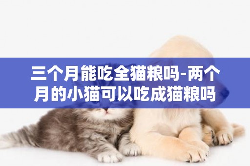 三個月能吃全貓糧嗎-兩個月的小貓可以吃成貓糧嗎