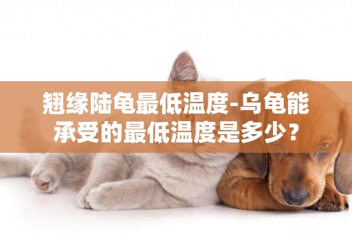 翹緣陸龜最低溫度-烏龜能承受的最低溫度是多少？