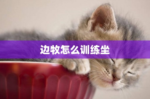 邊牧怎么訓練坐