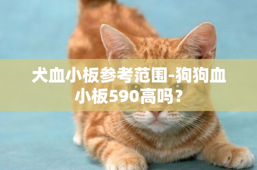 犬血小板參考范圍-狗狗血小板590高嗎？