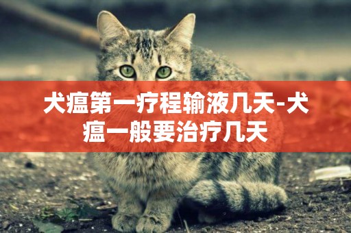 犬瘟第一療程輸液幾天-犬瘟一般要治療幾天