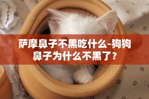 薩摩鼻子不黑吃什么-狗狗鼻子為什么不黑了？