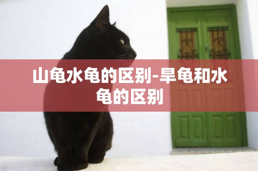 山龜水龜的區別-旱龜和水龜的區別