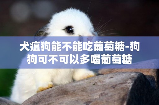 犬瘟狗能不能吃葡萄糖-狗狗可不可以多喝葡萄糖