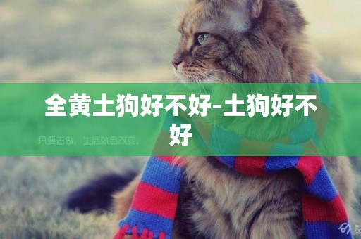 全黃土狗好不好-土狗好不好