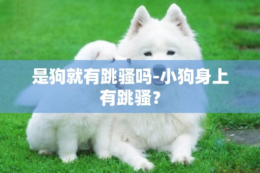 是狗就有跳騷嗎-小狗身上有跳騷？