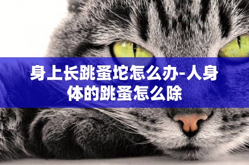 身上長跳蚤坨怎么辦-人身體的跳蚤怎么除