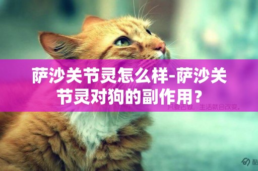 薩沙關節靈怎么樣-薩沙關節靈對狗的副作用？