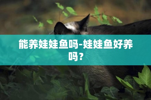 能養娃娃魚嗎-娃娃魚好養嗎？