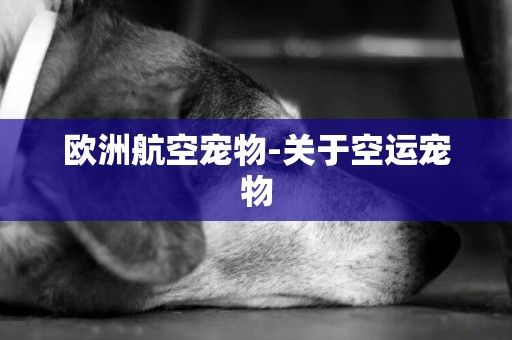 歐洲航空寵物-關于空運寵物