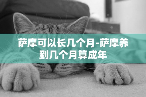 薩摩可以長幾個月-薩摩養到幾個月算成年