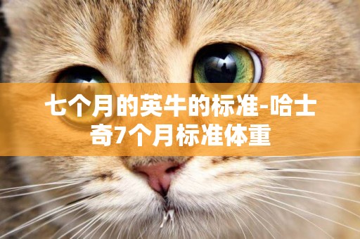 七個月的英牛的標準-哈士奇7個月標準體重
