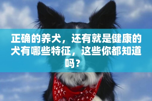 正確的養犬，還有就是健康的犬有哪些特征，這些你都知道嗎？ 