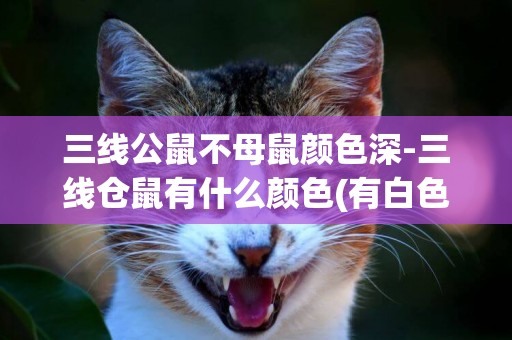 三線公鼠不母鼠顏色深-三線倉鼠有什么顏色(有白色的嗎？)？