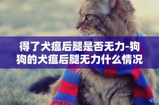 得了犬瘟后腿是否無力-狗狗的犬瘟后腿無力什么情況