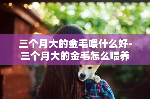 三個月大的金毛喂什么好-三個月大的金毛怎么喂養 三個月大的金毛喂什么好-三個月大的金毛怎么喂養