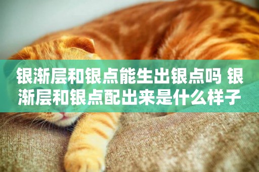 銀漸層和銀點能生出銀點嗎 銀漸層和銀點配出來是什么樣子