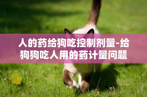 人的藥給狗吃控制劑量-給狗狗吃人用的藥計量問題