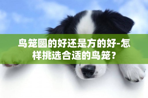 鳥籠圓的好還是方的好-怎樣挑選合適的鳥籠？