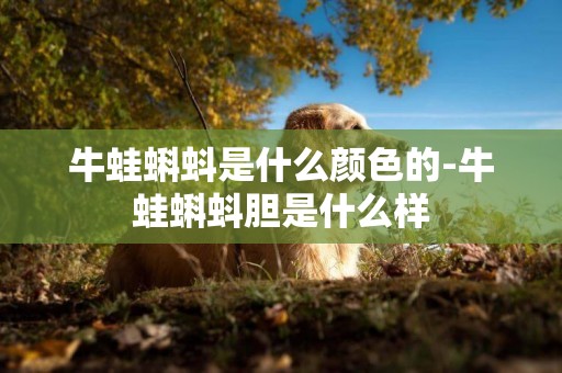 牛蛙蝌蚪是什么顏色的-牛蛙蝌蚪膽是什么樣
