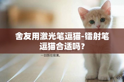舍友用激光筆逗貓-鐳射筆逗貓合適嗎？