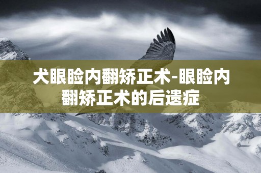 犬眼瞼內翻矯正術-眼瞼內翻矯正術的后遺癥