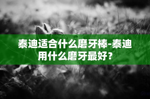 泰迪適合什么磨牙棒-泰迪用什么磨牙最好？