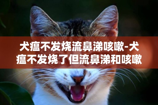 犬瘟不發燒流鼻涕咳嗽-犬瘟不發燒了但流鼻涕和咳嗽！！