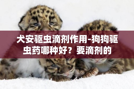 犬安驅蟲滴劑作用-狗狗驅蟲藥哪種好？要滴劑的