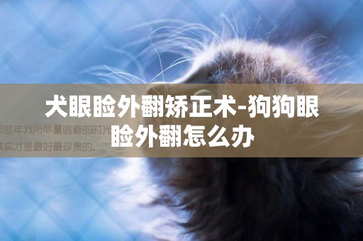 犬眼瞼外翻矯正術-狗狗眼瞼外翻怎么辦
