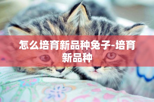 怎么培育新品種兔子-培育新品種