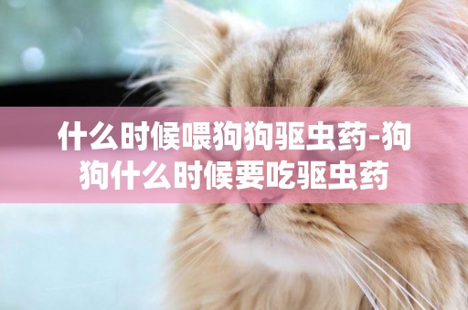 什么時候喂狗狗驅蟲藥-狗狗什么時候要吃驅蟲藥