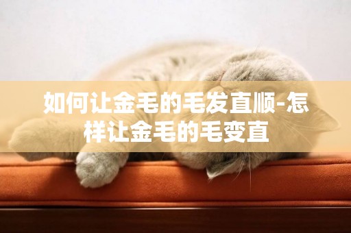 如何讓金毛的毛發直順-怎樣讓金毛的毛變直