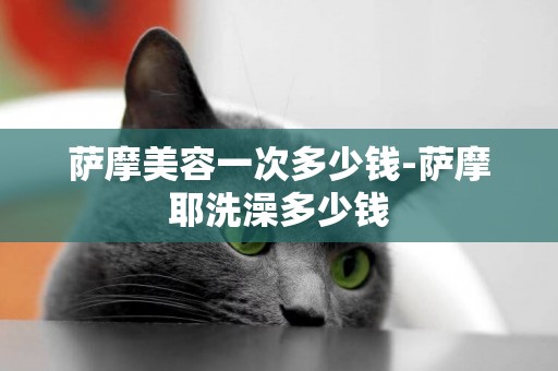 薩摩美容一次多少錢-薩摩耶洗澡多少錢