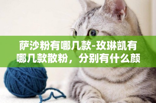 薩沙粉有哪幾款-玫琳凱有哪幾款散粉，分別有什么顏色