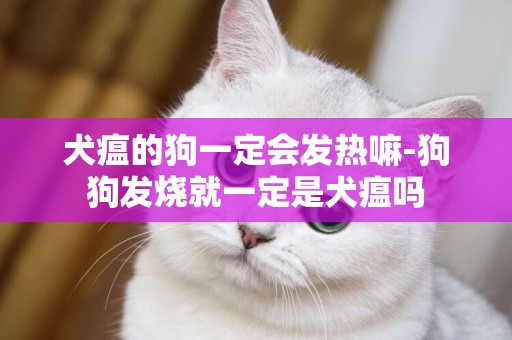 犬瘟的狗一定會發熱嘛-狗狗發燒就一定是犬瘟嗎