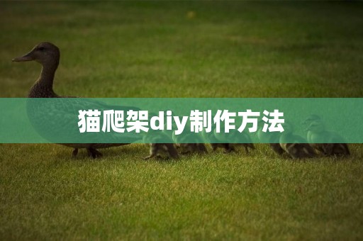 貓爬架diy制作方法