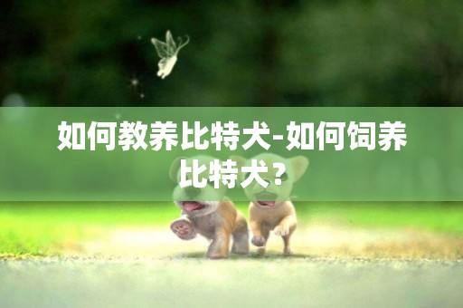如何教養比特犬-如何飼養比特犬？