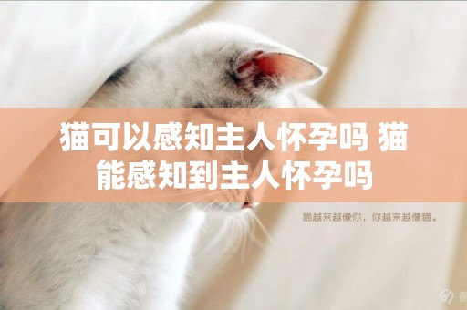 貓可以感知主人懷孕嗎 貓能感知到主人懷孕嗎