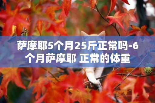 薩摩耶5個月25斤正常嗎-6個月薩摩耶 正常的體重