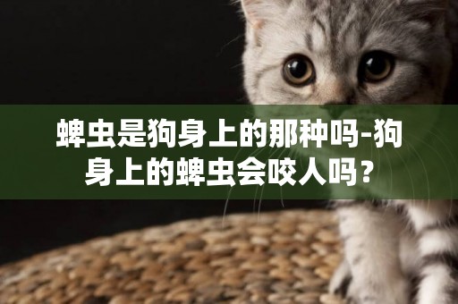 蜱蟲是狗身上的那種嗎-狗身上的蜱蟲會咬人嗎？