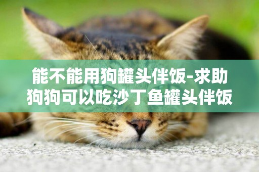 能不能用狗罐頭伴飯-求助狗狗可以吃沙丁魚罐頭伴飯嗎