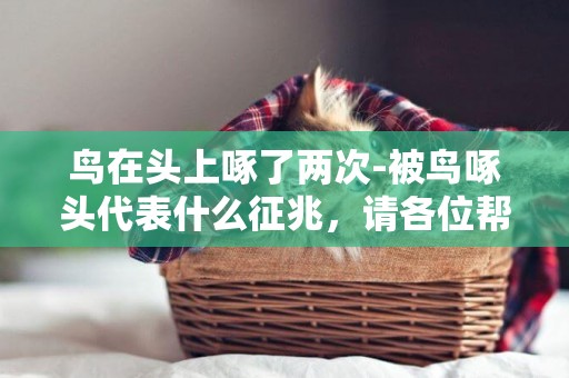 鳥在頭上啄了兩次-被鳥啄頭代表什么征兆，請各位幫幫忙
