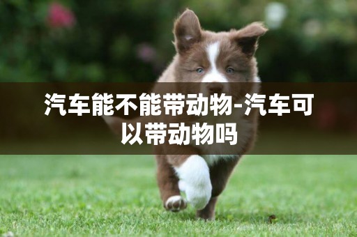 汽車能不能帶動物-汽車可以帶動物嗎