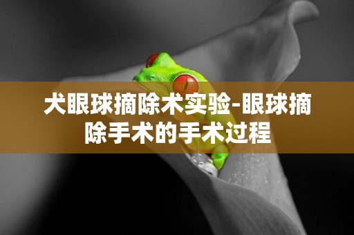 犬眼球摘除術實驗-眼球摘除手術的手術過程