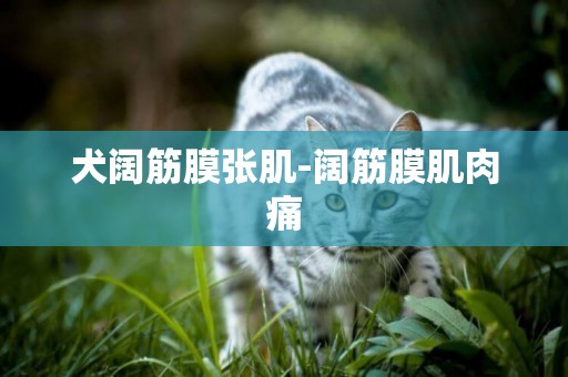犬闊筋膜張肌-闊筋膜肌肉痛
