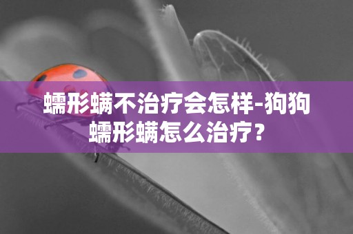 蠕形螨不治療會怎樣-狗狗蠕形螨怎么治療？